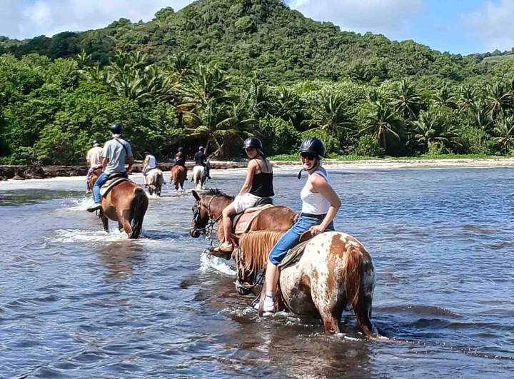 Randonnée cheval baignade Vauclin