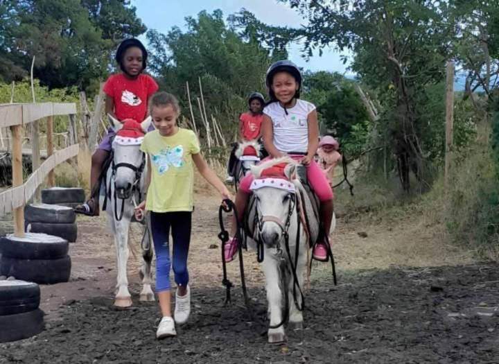 Baptême poney pour enfants, Rivière-Pilote