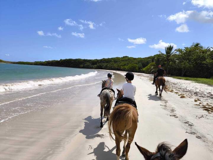 Balade à cheval Le Vauclin
