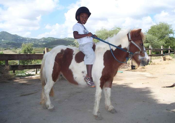 Equitation enfants Le Vauclin