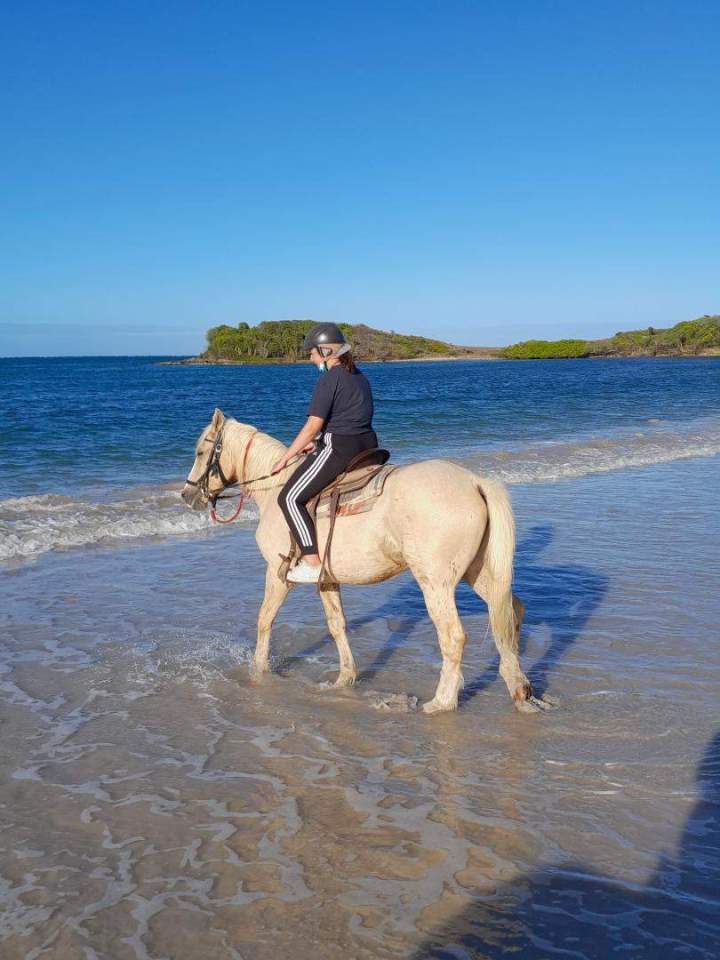 Balade équestre plage Vauclin
