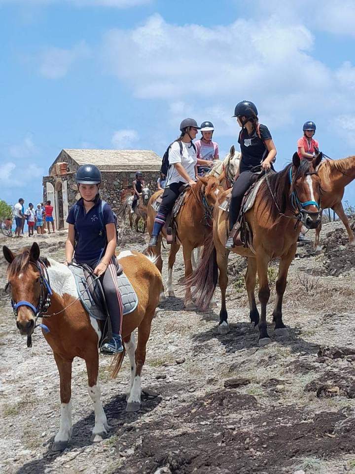 Club d'équitation Le Vauclin