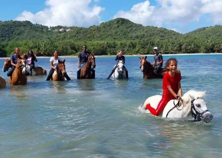 Poney club, Le Marin